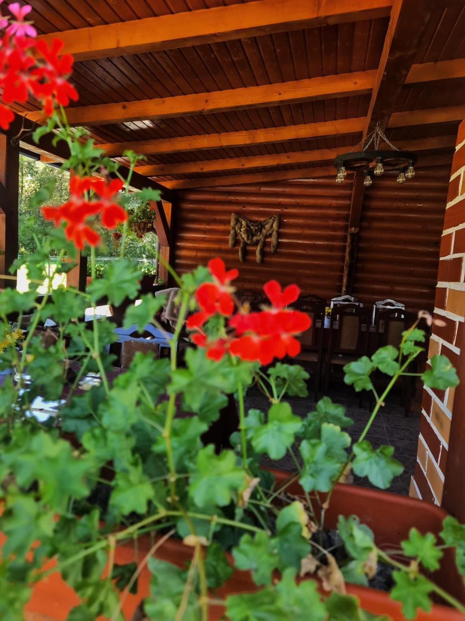 Cabana Dintre Munti Vidra  Exterior foto