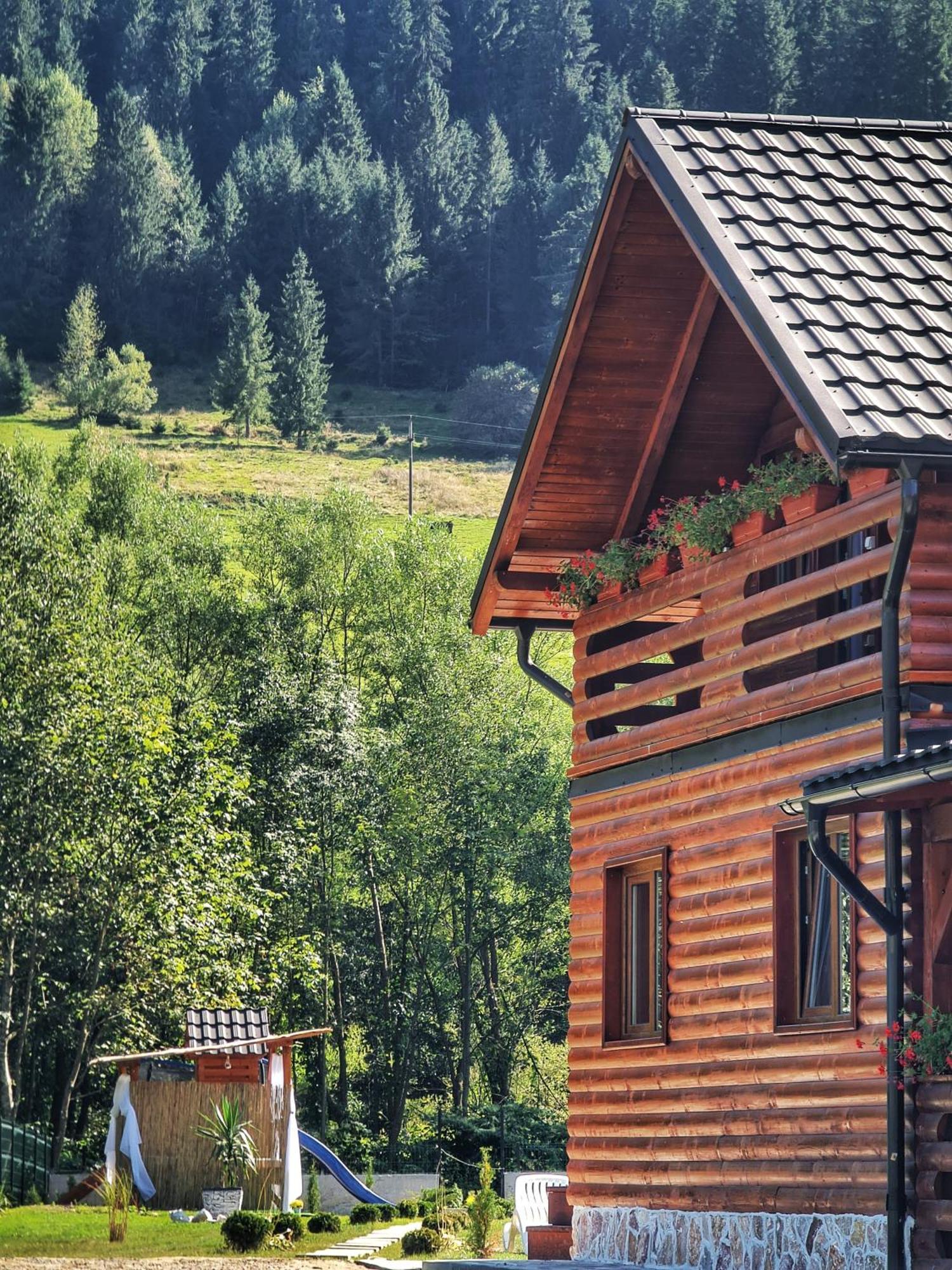 Cabana Dintre Munti Vidra  Exterior foto